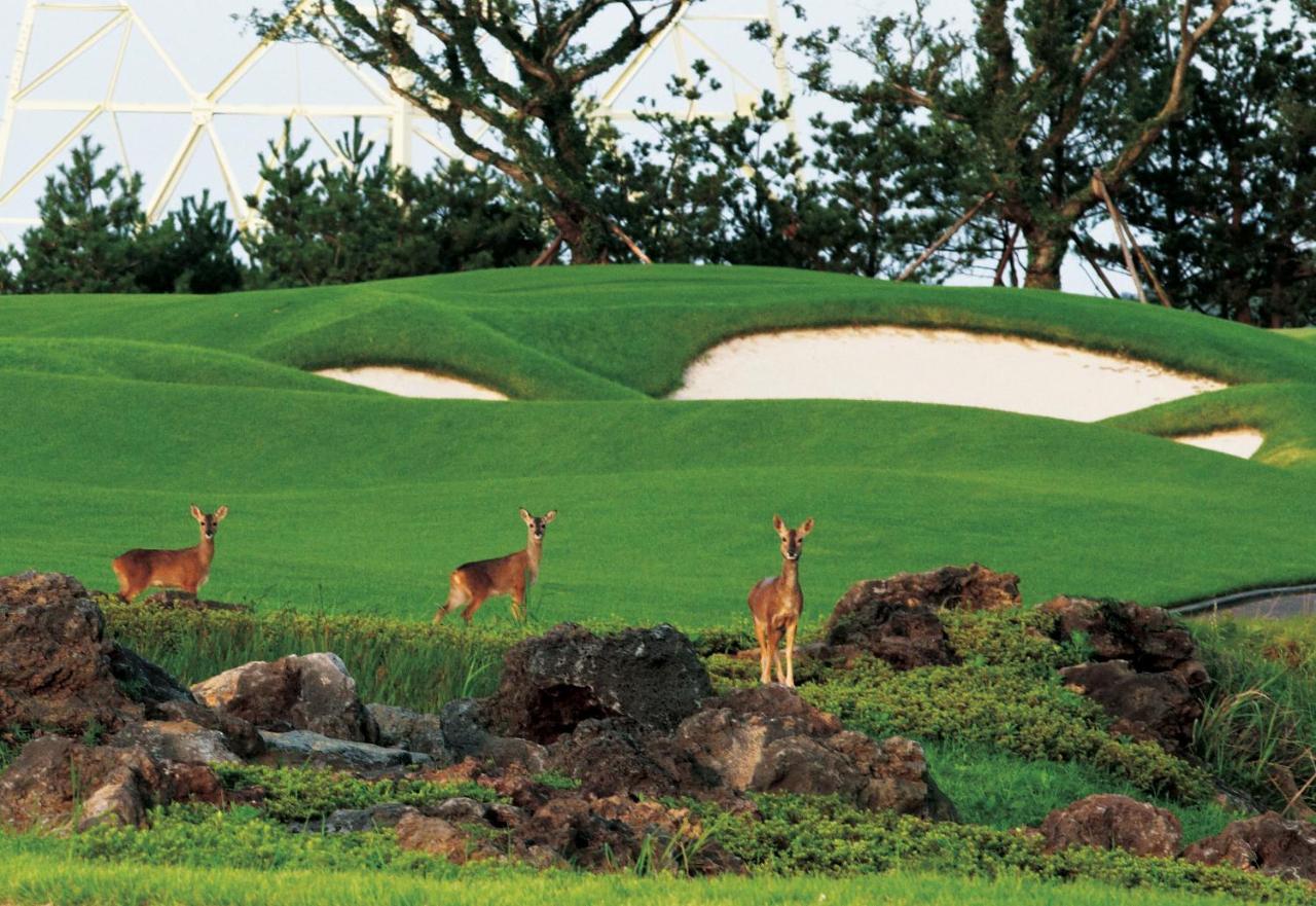 Ardenhill Resort & Golf Jeju Esterno foto